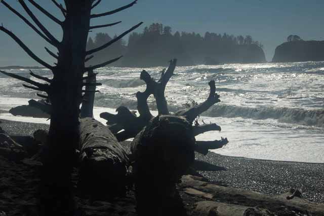 Rialto Beach